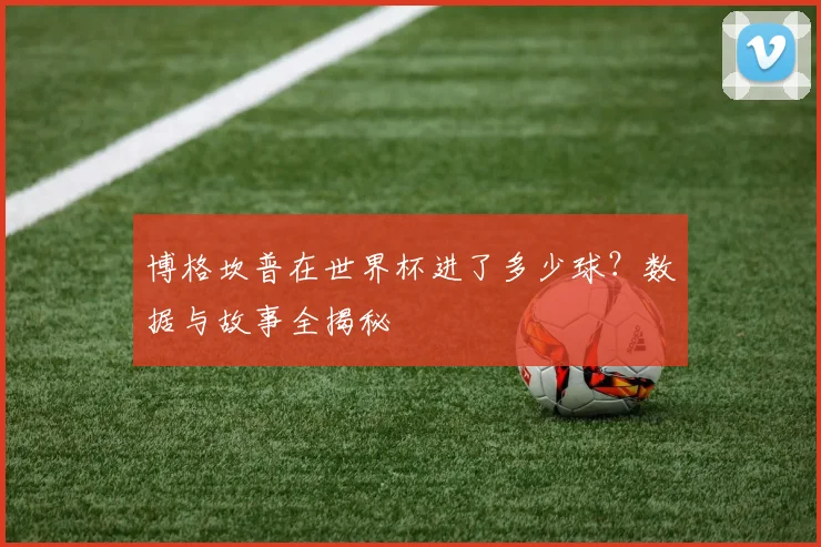 博格坎普在世界杯进了多少球？数据与故事全揭秘