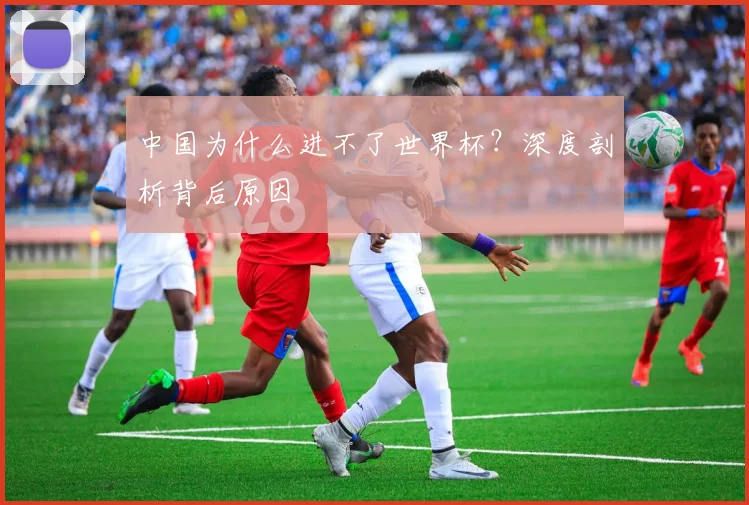 中国为什么进不了世界杯?深度剖析背后原因