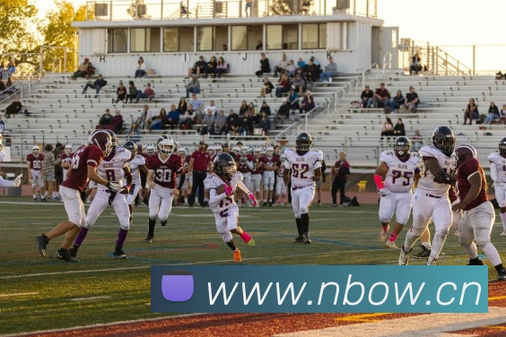 App Interface Preview